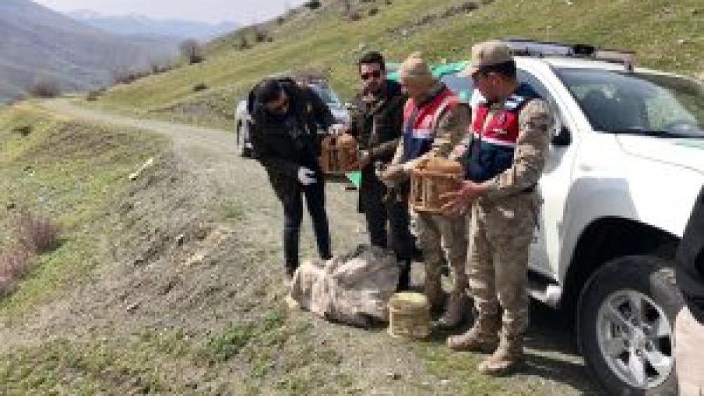 KEKLİK AVCILARINA CEZA